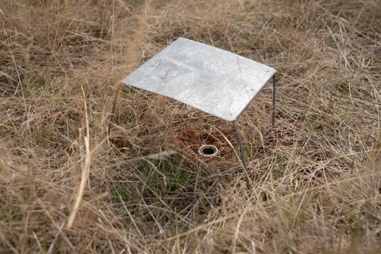 Spider tube for trapping Grassland Earless Dragons in the field