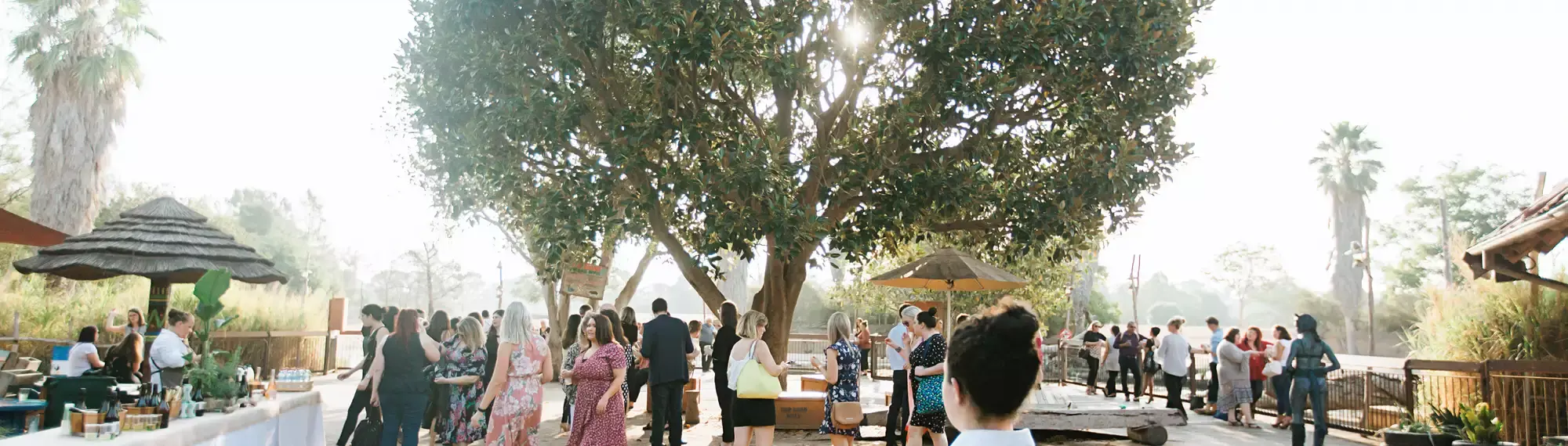 Crowd of people standing under a tree, milling around in small groups.