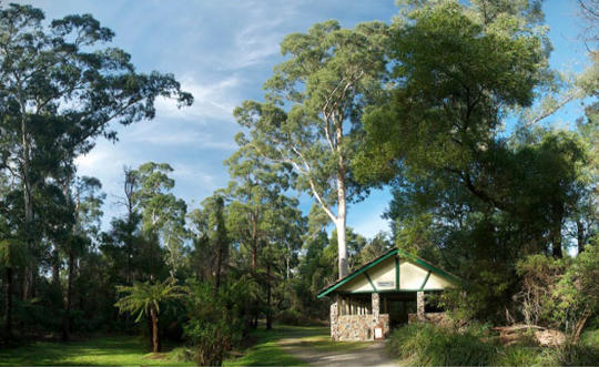 A outdoor pavilion next to tall trees and green grass.