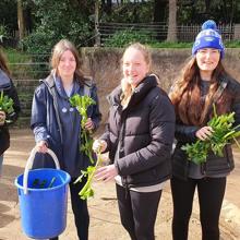 A group of students hold bunches of celery