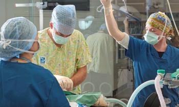 Three vets in hair and mouth masks standing around an animal on an operating table