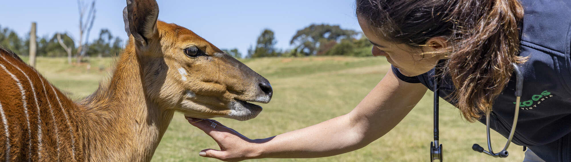 Nyala Tactile Touch Training