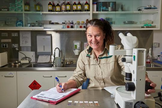 A vet dressed in khaki sits in front of a microscope with a clipboard