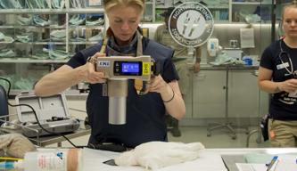 Fergi The Long Billed Corella Has A Vet Check