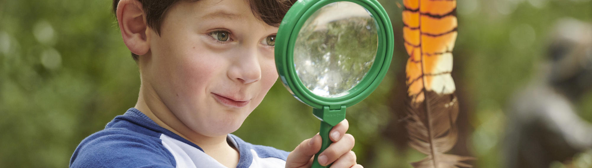 Kinder Kid Examines A Feather With A Magnifying Glass Healesville Sanctuary