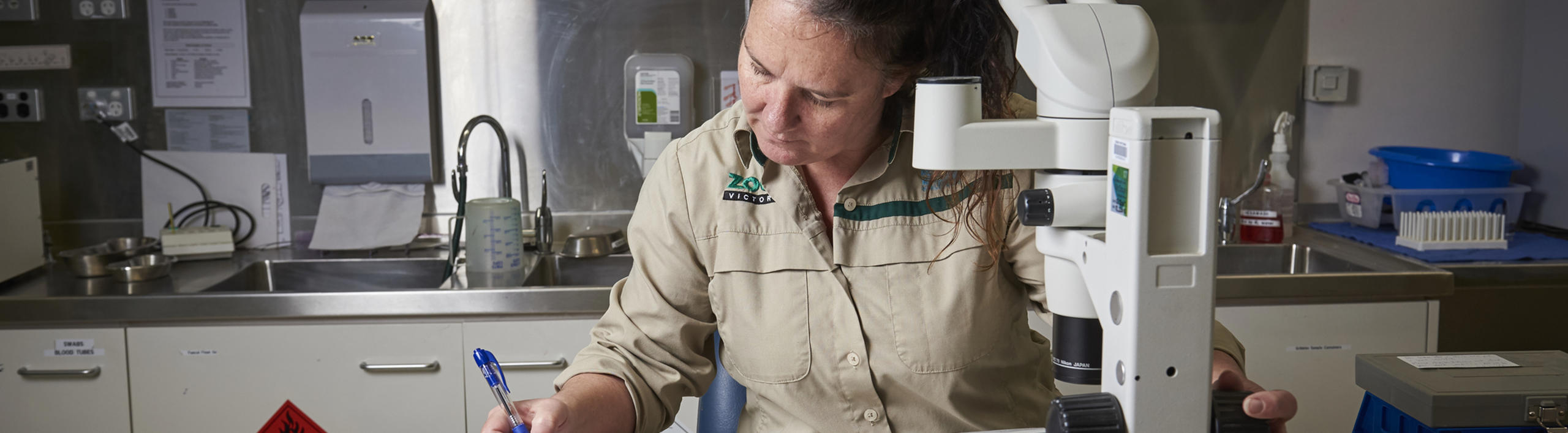 Vet Nurse Doing Lab Work 