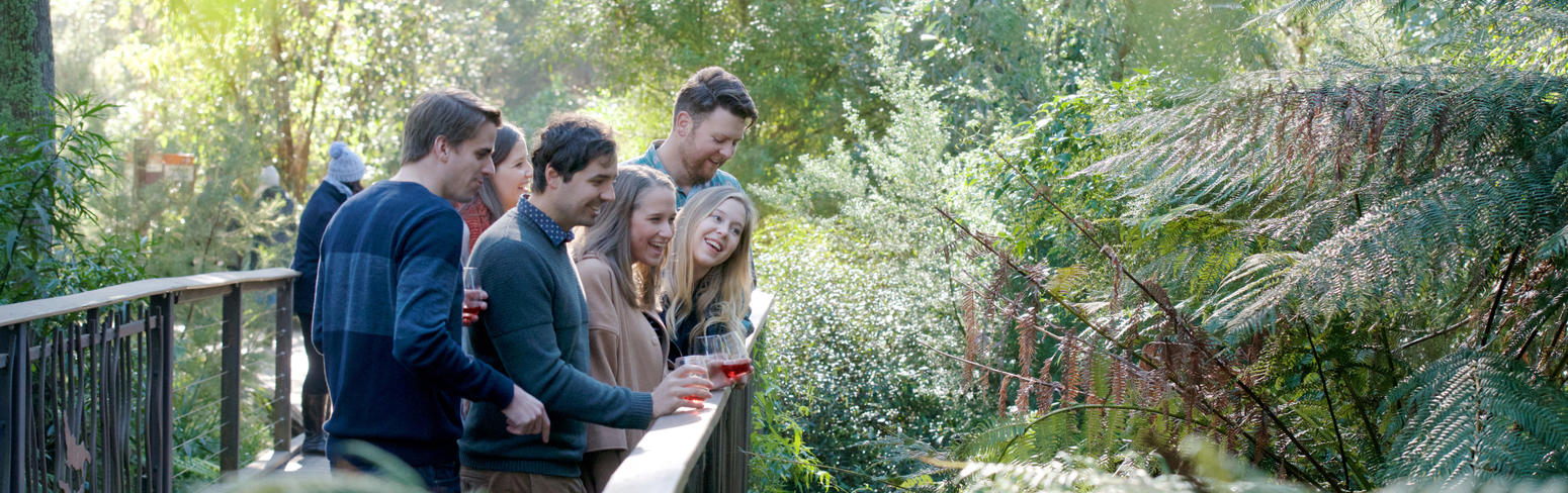 A Group Of People Posing On A Bridge With Wine Glasses, Looking At The Rain Forest Below.