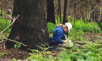 A woman sitting under a tree wearing a hard hat and writing in a note book