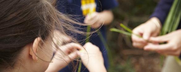 A close up of some hands holding long blades of grass