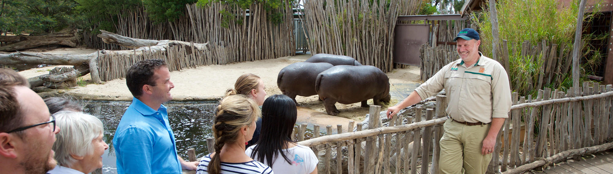 A group of people listening to a Zoo Keeper talk in front of three hippos