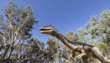 Coelophysis 