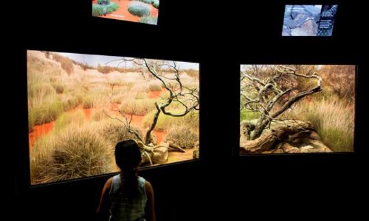 A young visitor at The Reptile House